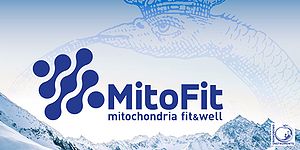 Logo MitoFit-OROBOROS.jpg