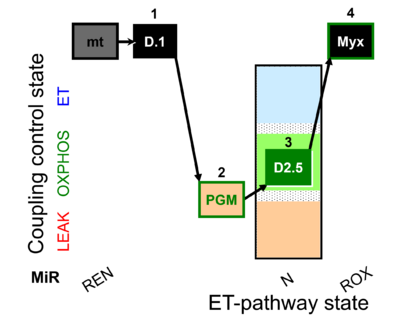 Mt;1D.1;2PGM;3D2.5;4Myx.png