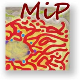 Logo-MiP2014.jpg