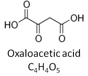 Oxaloacetic acid.jpg