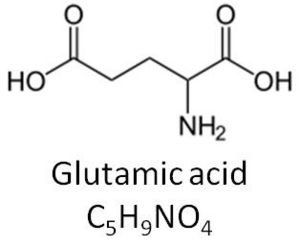 Glutamic acid.jpg