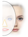 Figure 6. Two faces: one eye — one face. The three objects seen in the face are not interpreted as 1 + 2. Based on CASE, the part of the face seen is recognized as a single Highest-level System H with two objects, Mouth and Nose, and one assembly A(2E) that is completed by the invisible second eye — H(1M,1N,1A[2E]).